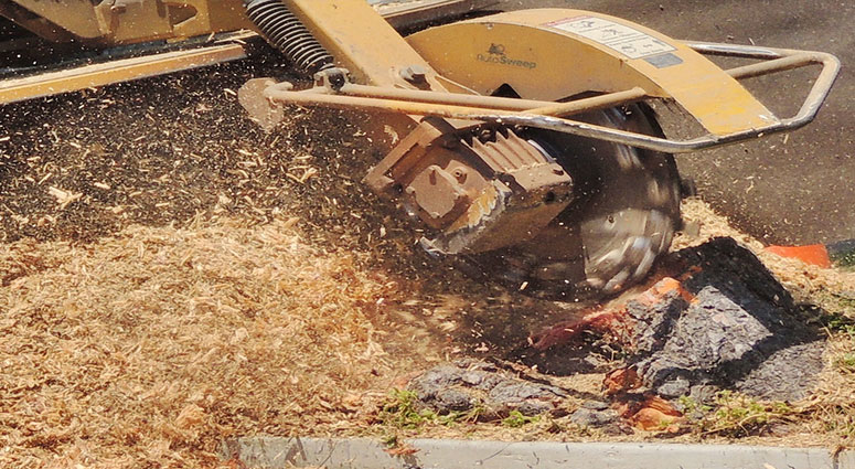 Stump Grinding Special